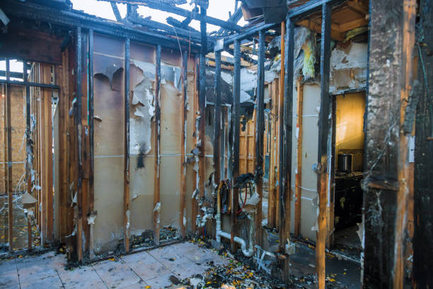Professional Fire Damage Removal technician working in Plant City, FL